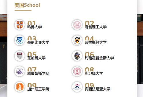 濟(jì)南學(xué)子美國本科留學(xué)申請全攻略與信息咨詢指南